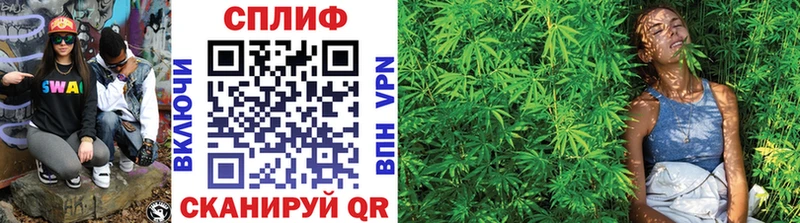 Шишки марихуана сатива  Купить где  Владикавказ 